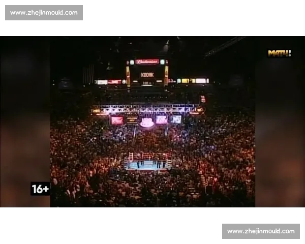 霍亚与霍普金斯巅峰对决解析：技战术碰撞与心理博弈全景揭秘